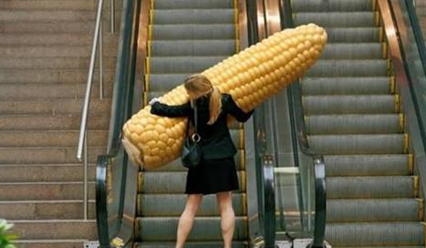 Katılarak güleceğiniz fotoğraflar! - Resim: 3