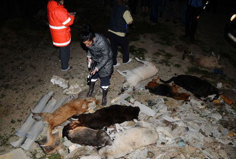 İstanbul'da katliam yaptılar - Resim: 2