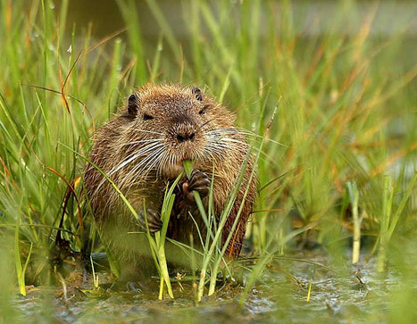 Tam o anda çekilen fotoğraflar - Resim: 4