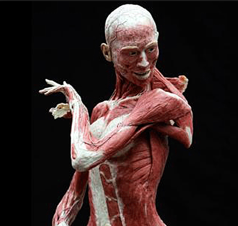 Ceset sergisi İzmir'de rekora koşuyor - Resim: 3