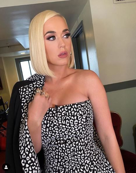 Yıldız şarkıcı Katy Perry hamile olduğunu duyurdu! Bakın klibinde nasıl ortaya çıktı - Resim: 1