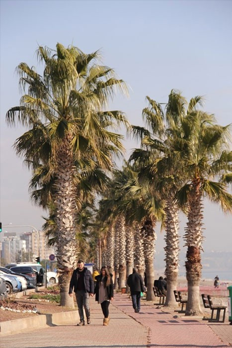 Kar kış dinlemeden denize girdiler - Resim: 2
