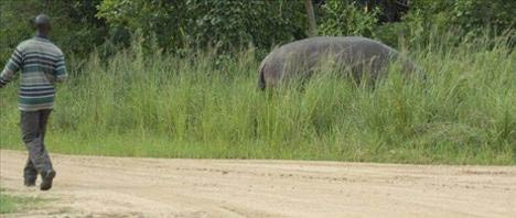 Hayvanların en çok çıldırdığı anlar! - Resim: 3