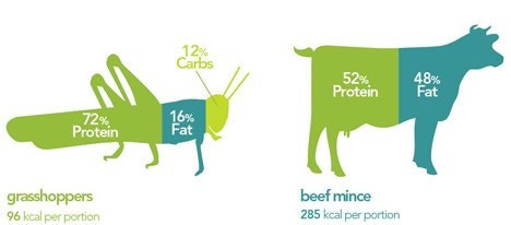 20 yıl içerisinde ana gıda böcek olacak - Resim: 2