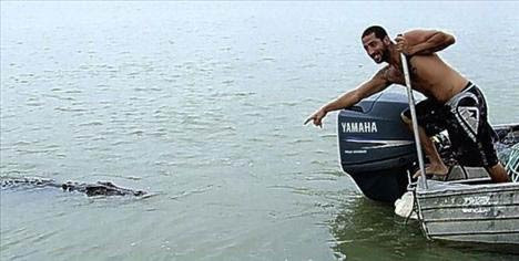 Hayvanların en çok çıldırdığı anlar! - Resim: 1