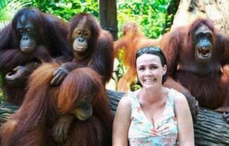 Gülmekten katılacağınız kareler - Resim: 1