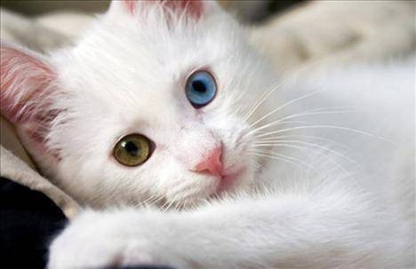 Görülmeye değer 50 fotoğraf - Resim: 4