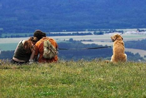 Gülme krizine sokan fotoğraflar - Resim: 4
