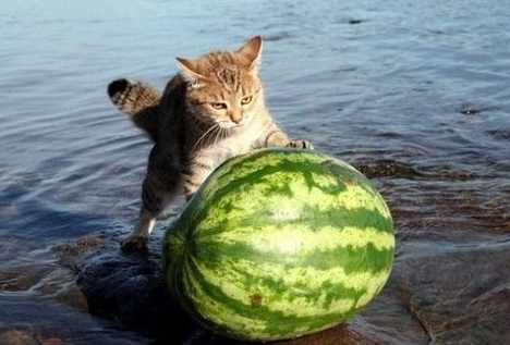 Haftanın tık rekoru kıran en komikleri! - Resim: 4