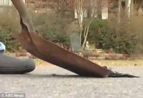 Gökten kuş yağdı! - Resim: 2