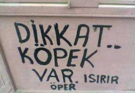 Yurdum insanından süper ilanlar - Resim: 4