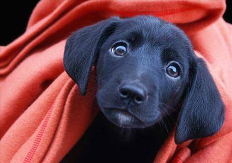 Görülmeye değer 50 fotoğraf - Resim: 2