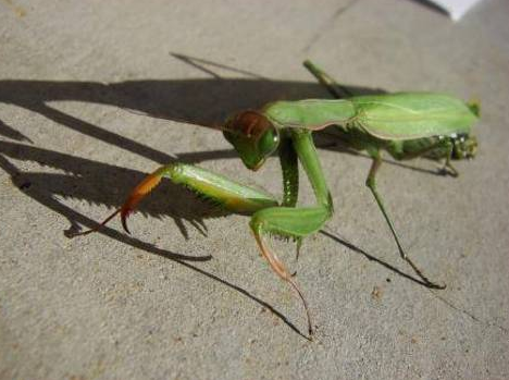 İnsanları şok eden gerçekler! - Resim: 2