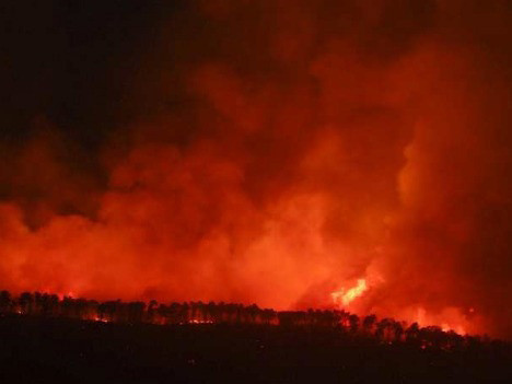 İsrail'deki yangına Erdoğan'dan yardım eli - Resim: 3