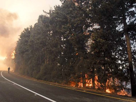 İsrail'deki yangına Erdoğan'dan yardım eli - Resim: 4