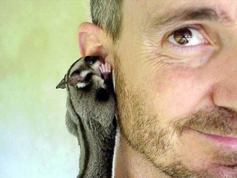 Gülme krizine sokan fotoğraflar - Resim: 1