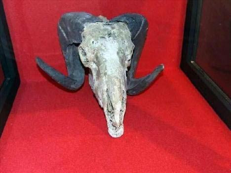 Hiç böyle işkence müzesi gördünüz mü? - Resim: 4