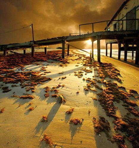 Görülmeye değer 50 fotoğraf - Resim: 1