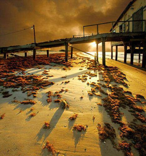 Görülmeye değer 50 fotoğraf - Resim: 1