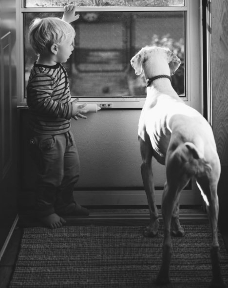 Dünya kalpleri ısıtan dostluğu konuşuyor - Resim: 3