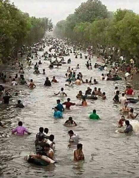 Arakan'da neler oluyor? Binlerce müslüman katlediliyor! - Resim: 4