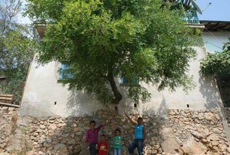 Yurdum insanından akıl almaz kareler - Resim: 4