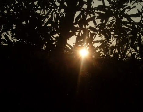 Hızır Aleyhisselam nasıl görünür? - Resim: 1