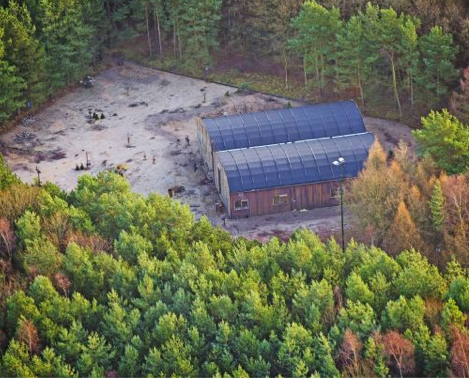 Acun yine yaptı yapacağını! O isim Türkiye'ye geliyor - Resim: 4