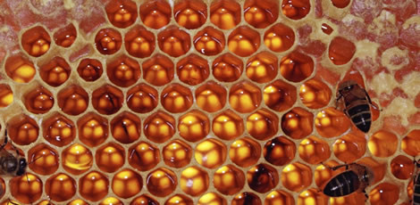 Bunları duydunuz mu? - Resim: 2