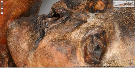 Cesedin her ayrıntısı internette - Resim: 1