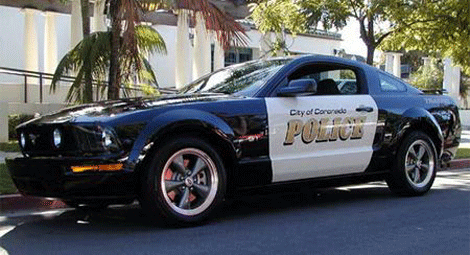 Dünyanın en iyi polis arabaları - Resim: 3