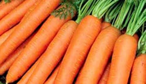 Cinsel gücü artıran yiyecekler - Resim: 2