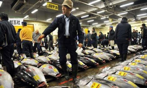 Bu balık villadan daha pahalı! - Resim: 2