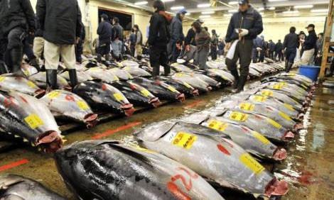 Bu balık villadan daha pahalı! - Resim: 4