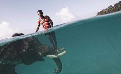 2009'a damga vuran fotoğraflar - Resim: 1