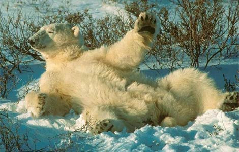 50 yılda bu kareler tarih olacak! - Resim: 1