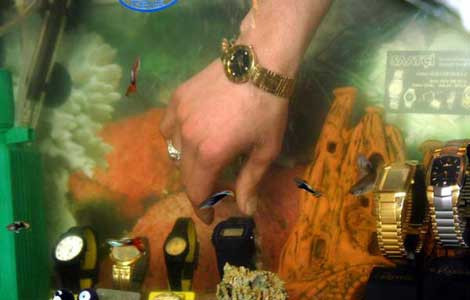 En güzel yurdum haberleri! - Resim: 2