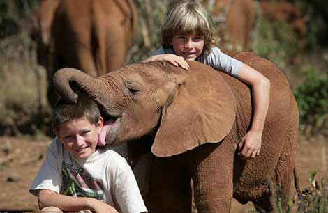 Yavru fillere bayılacaksınız - Resim: 3