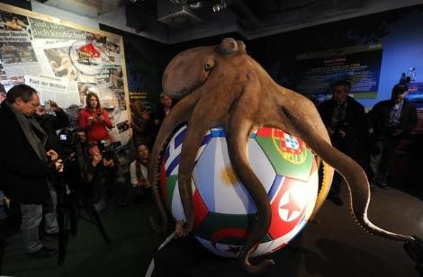 Kahin ahtapot Paul anıtı açıldı - Resim: 3