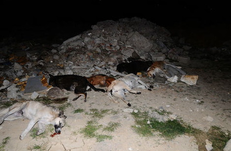 İstanbul'da katliam yaptılar - Resim: 3