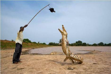 İnternetin en çok tıklanan kareleri - Resim: 2