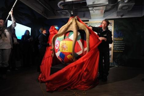 Kahin ahtapot Paul anıtı açıldı - Resim: 1