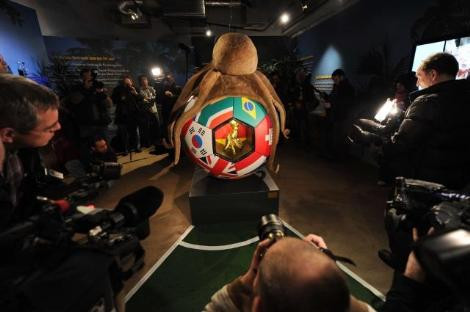 Kahin ahtapot Paul anıtı açıldı - Resim: 2