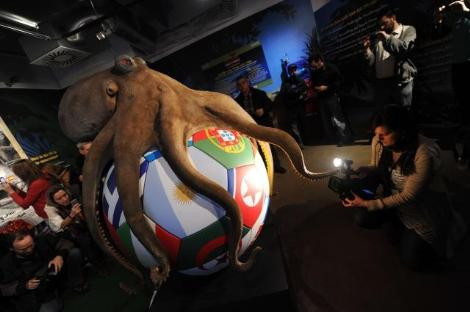 Kahin ahtapot Paul anıtı açıldı - Resim: 4