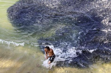 İşte felaketin ilk habercileri - Resim: 4