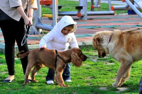 Aile boyu keyif yaptılar! - Resim: 1