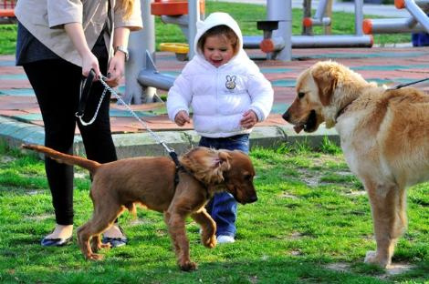Aile boyu keyif yaptılar! - Resim: 2