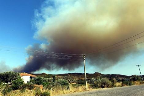 İzmir sabaha kadar cayır cayır yandı - Resim: 2
