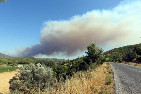 İzmir sabaha kadar cayır cayır yandı - Resim: 3