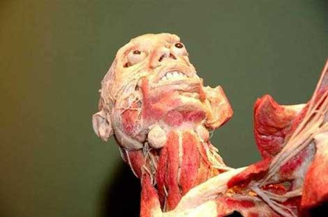 Vücudun ilginç gerçekleri - Resim: 3